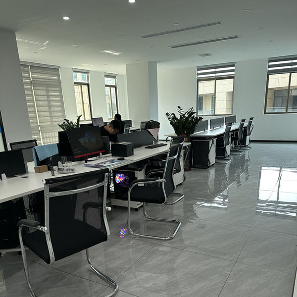 Китай Shenzhen Dingsheng Plasticization Co., Ltd. Профиль компании